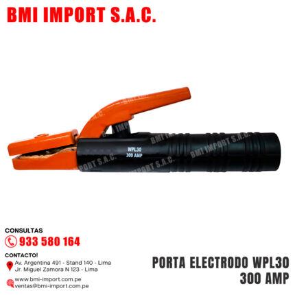 PORTA ELECTRODO WPL30 300 AMP
